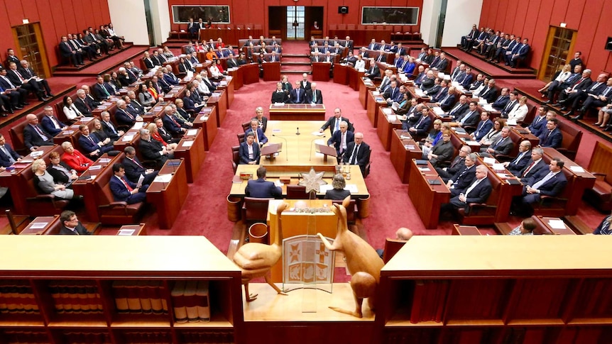 All members sitting in Parliament