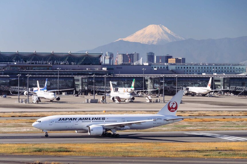 Looking across Tokyo Airport's runways, you see a Japan Airlines plane taxiing with a snow-capped mountain in the distance.