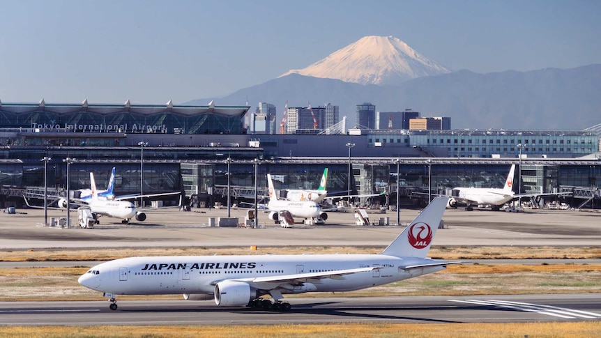 Looking across Tokyo Airport's runways, you see a Japan Airlines plane taxiing with a snow-capped mountain in the distance.