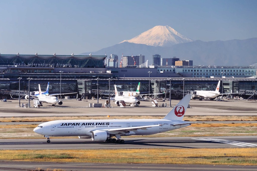 Looking across Tokyo Airport's runways, you see a Japan Airlines plane taxiing with a snow-capped mountain in the distance.