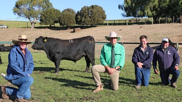 Lot 15 the record breaking bull surrounded by Chris Saunders, Warren Johnston, and Frank and Ed Archer