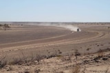 Drought is affecting parts of South Australia's far north