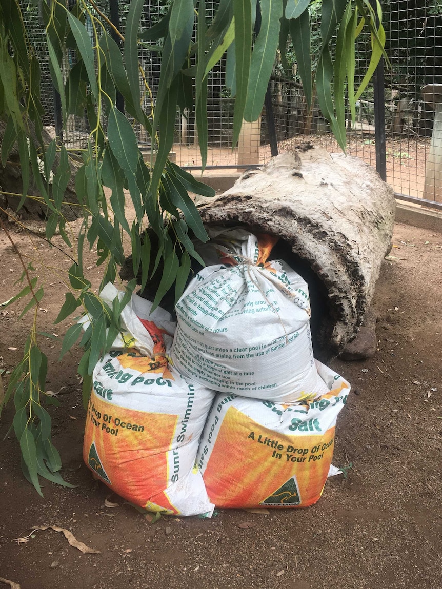 A log sealed with sandbags in an animal enclosure