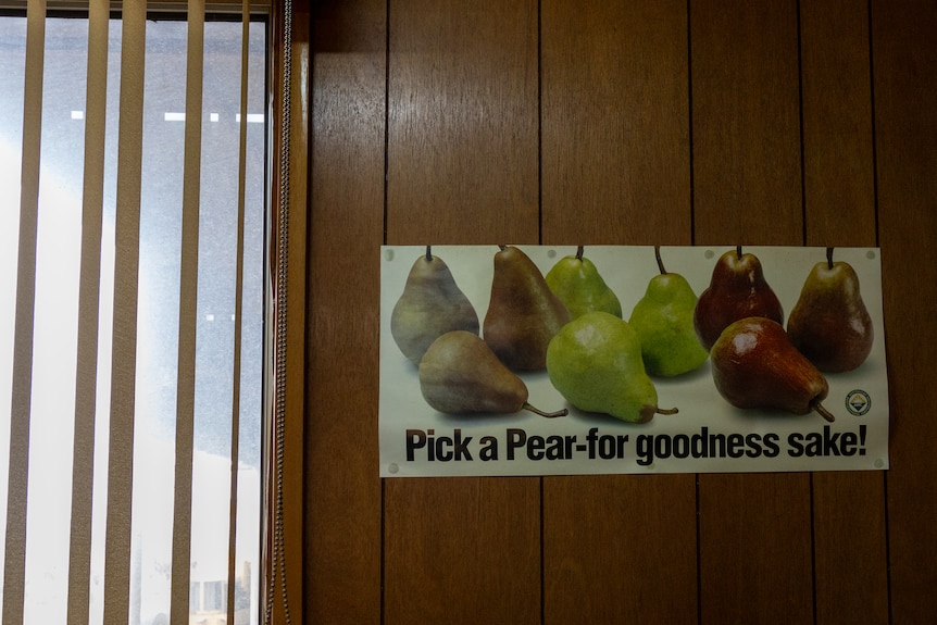A poster with the slogan 'pick a pear for goodness sake'