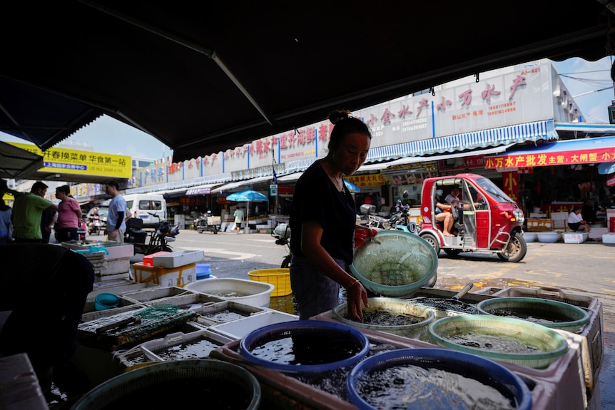 A vendor working at her stall in a seafood market with various buckets of seafood