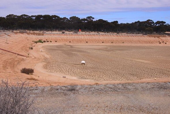 A dried-up dam in Salmon Gums.
