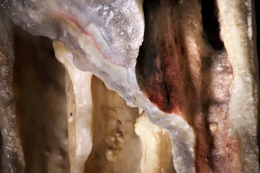 Curtain formation in Ardales cave