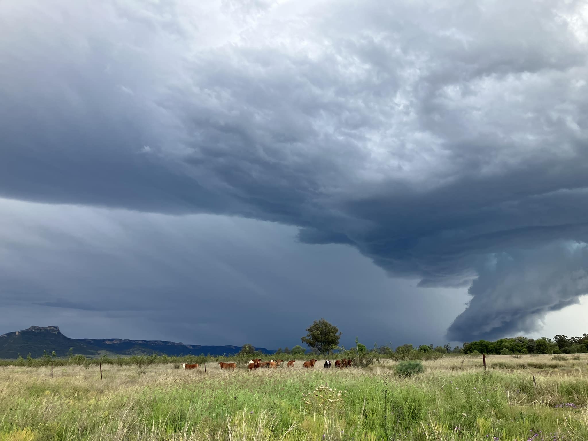 Large Parts Of Central And North Queensland Hit By Hail As Storms ...