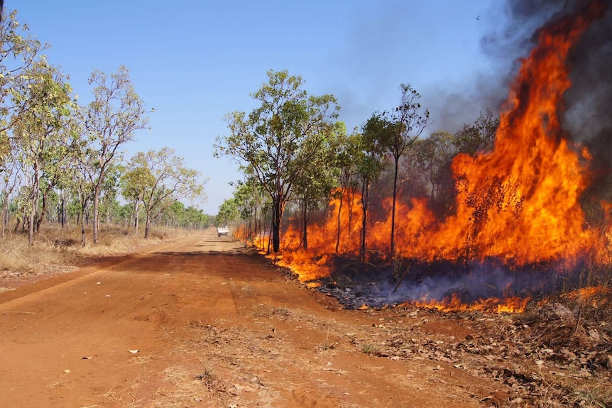 A fire burns along the side of a dirt road.