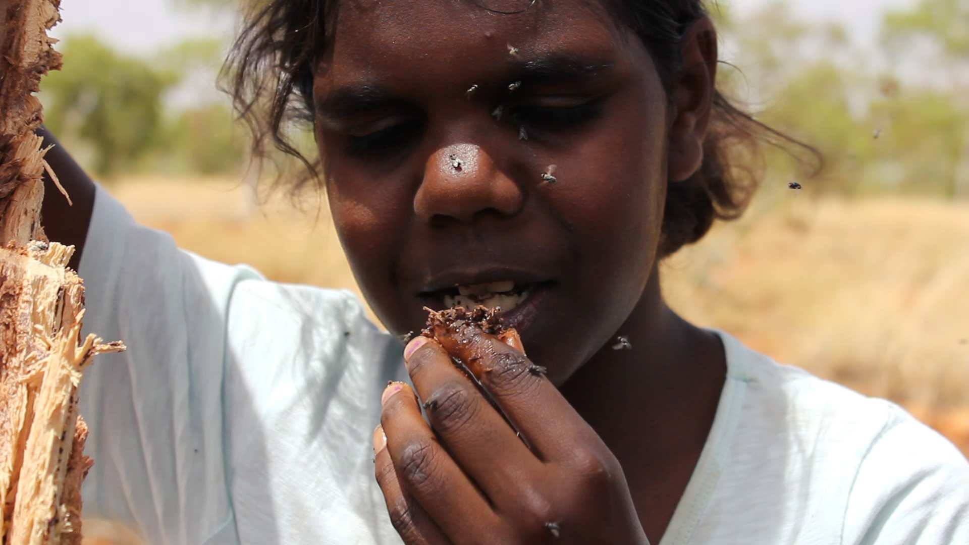 From Outback To Plate: A Deep Dive Into The Delicious World Of Bush Tucker