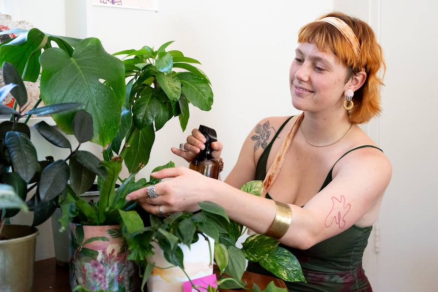 Person wearing a dark green dress spraying a plant with water. 