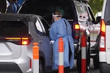 A woman takes a swab from a person in a car at a drive-through COVID testing clinic.