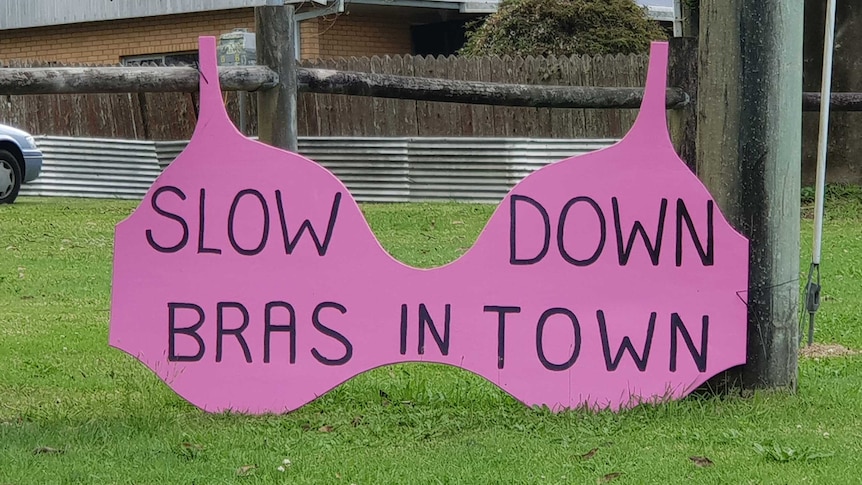 This sign greets drivers arriving in Dorrigo, where hundreds of bras adorn the streets.