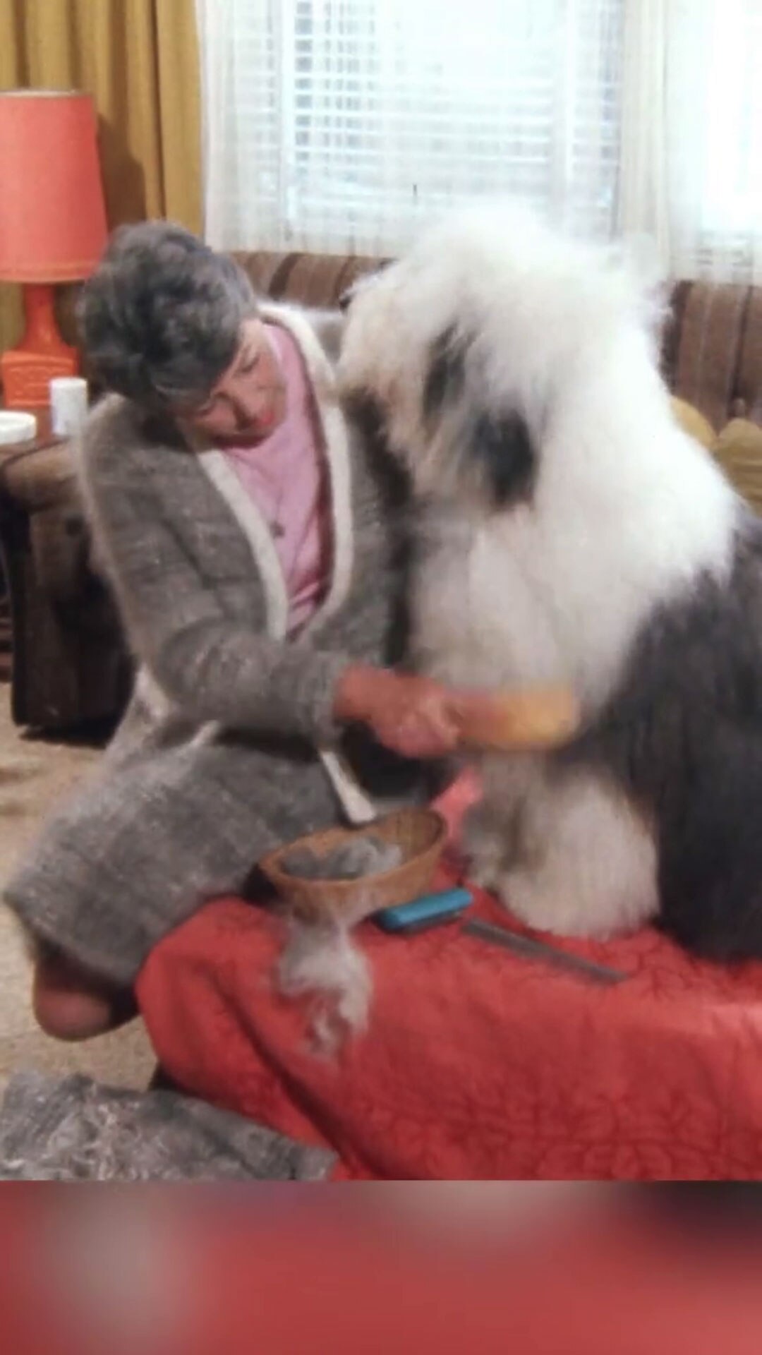 A woman with greying hair in a knitted jacket sits on a red sofa with a large fluffy dog