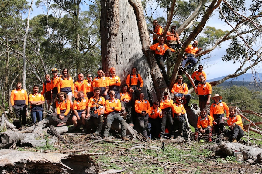 The team of arborists on Bruny Island.