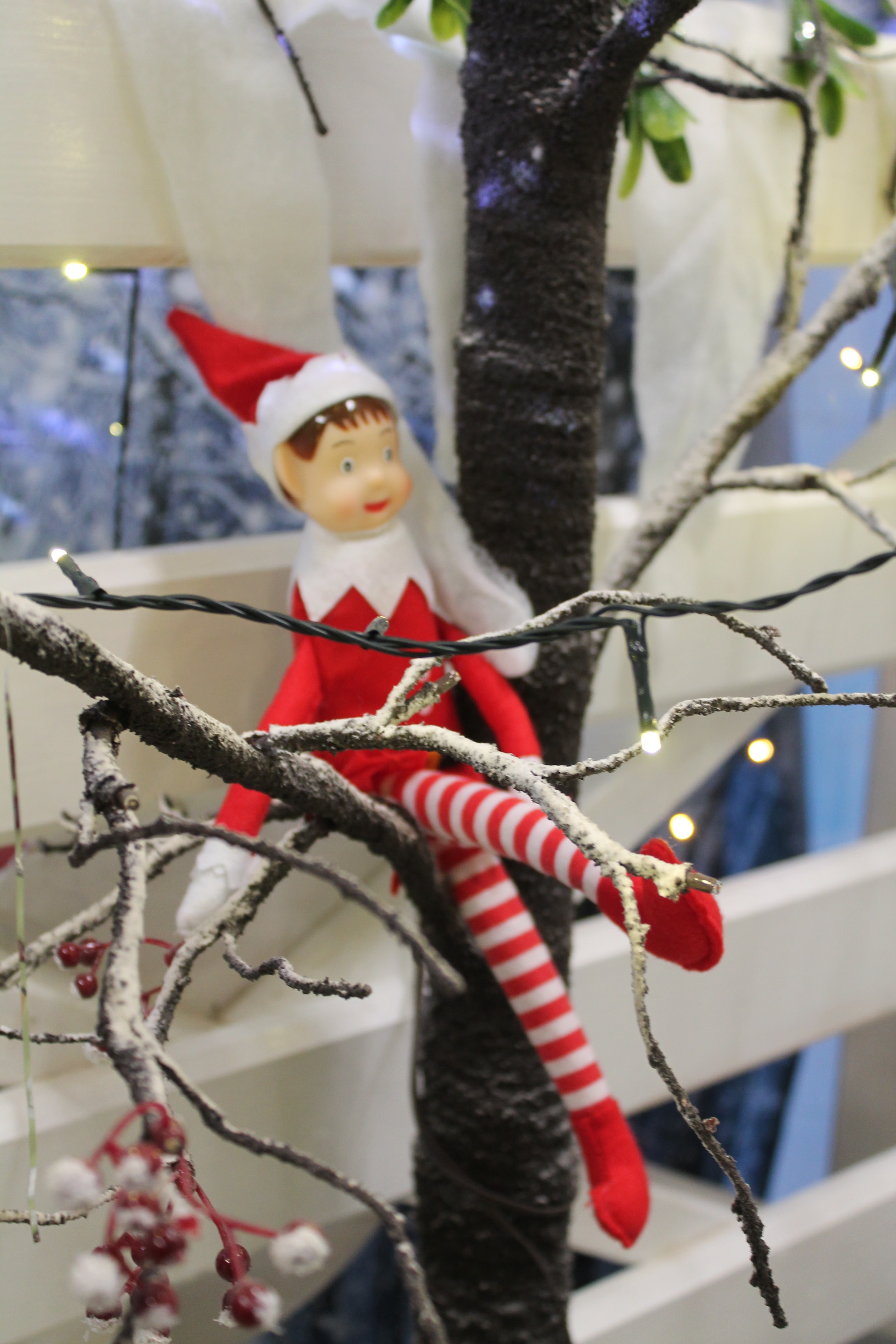 Womans Day December 2022 Crafty Christmas Elf Door Families Across Australia Follow A Christmas Tradition Involving An Elf,  But What's It All About? - Abc News