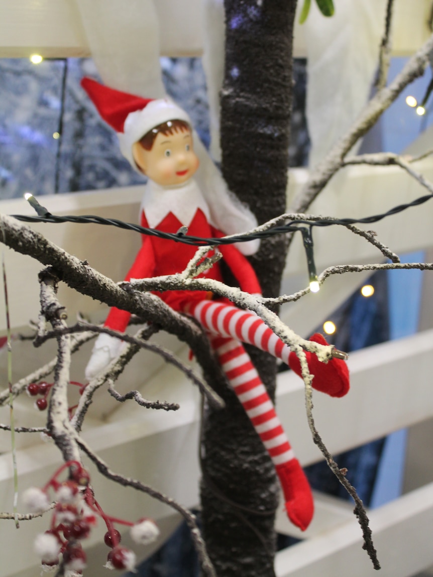 Christmas elf wearing red hat and outfit siting in a snowy tree with Christmas lights