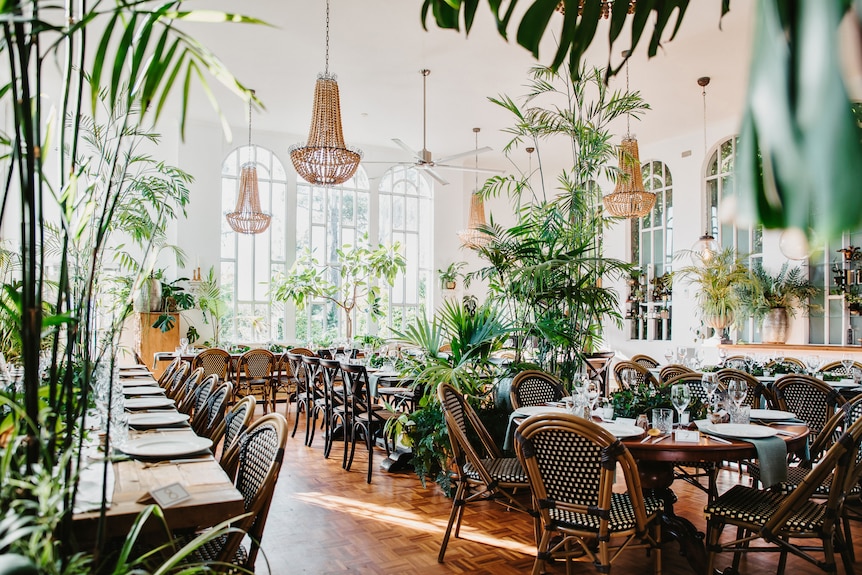 A well lit room full of plants, chairs and tables