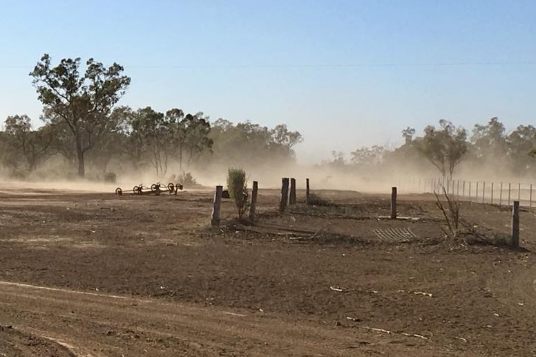 Sue Currey in Walgett, NSW, is enduring a dusty day at her place