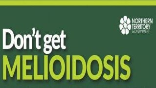 Meliodosis NT health campaign
