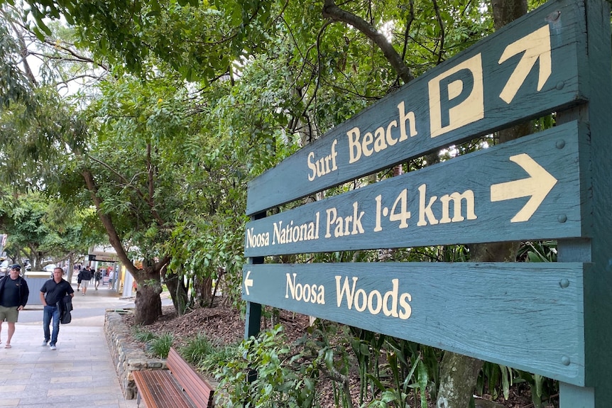 A sign saying surf beach, Noosa National Park and Noosa Woods. The sign is alongside a busy, tree-lined street.