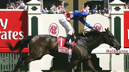 Set to become a Mum ... Triple Melbourne Cup winner Makybe Diva.