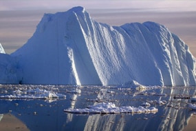 An iceberg carved from a glacier floats in the Jacobshavn fjord (Reuters/University of Colorado: Konrad Steffen)