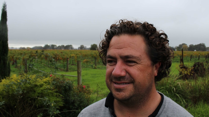 Wine Maker Luke Trotter's head, with vines in the background.