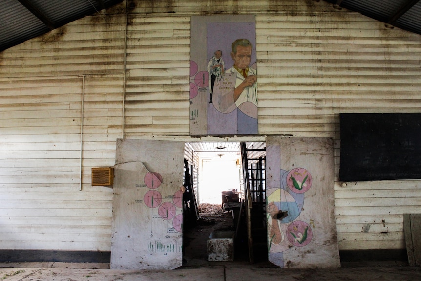 Pastel coloured posters depicting different grains and a picture of a male scientist in an abandoned shed.