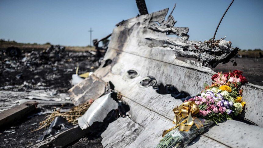 Flowers placed on MH17 wreckage