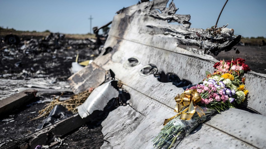 Flowers placed on MH17 wreckage