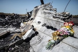 Flowers placed on MH17 wreckage