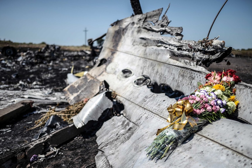 Flowers placed on MH17 wreckage