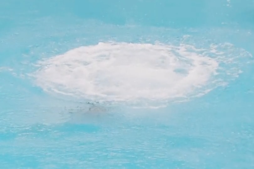 A still from the end of the video of Nikita's dive which shows a ripple of white wash.