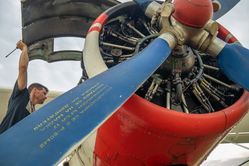 A man with a spanner peers through the side of a blue, red and white aircraft.