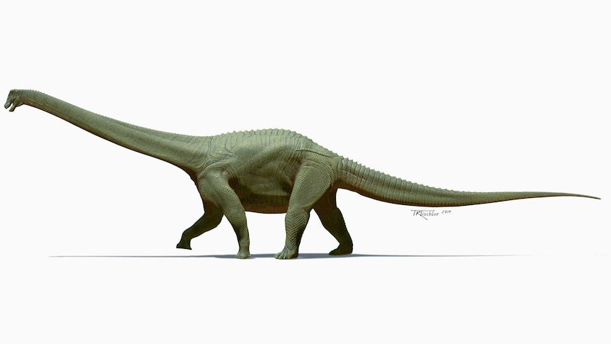 A lifelike drawing of a dinosaur with an extremely long neck and tail.