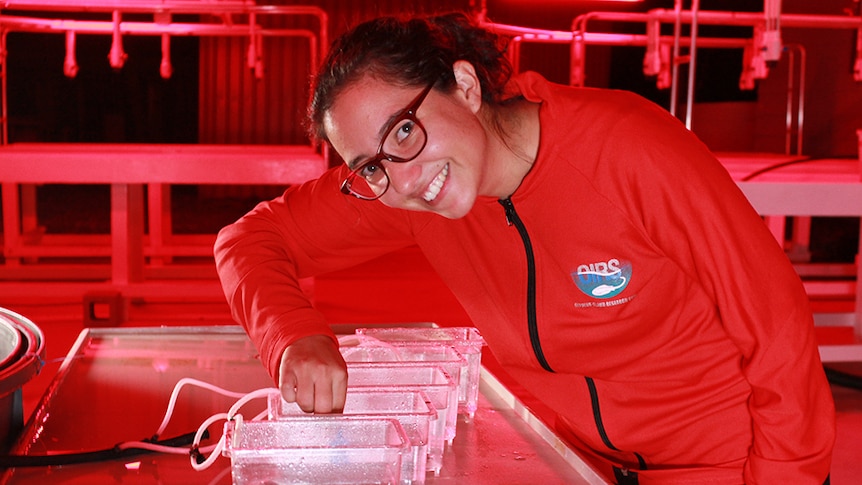 Natalia Andrade stands looking into her science experiment.