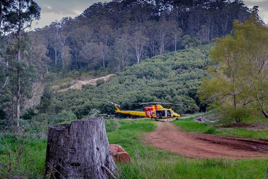 The Westpac Rescue Helicopter Service sits on an avocado farm.