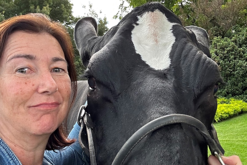 woman and cow