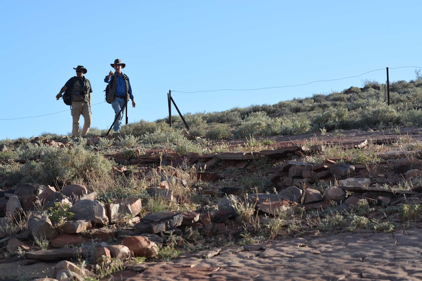 Palaeontologists walking in the Flinders Ranges.