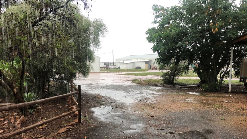 rain in front of gates and shed