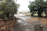 rain in front of gates and shed