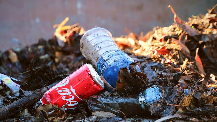 A can and bottle amongst piles of leaves and debris