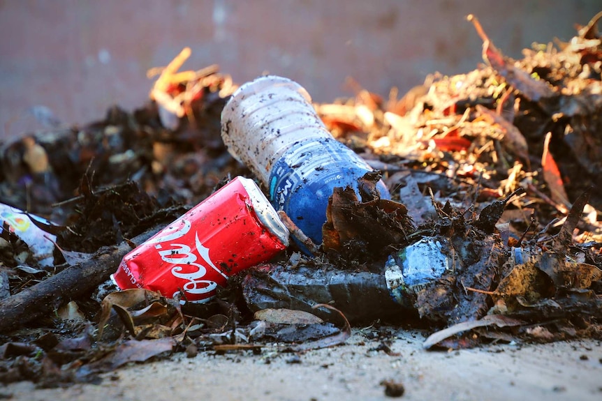 A can and bottle amongst piles of leaves and debris