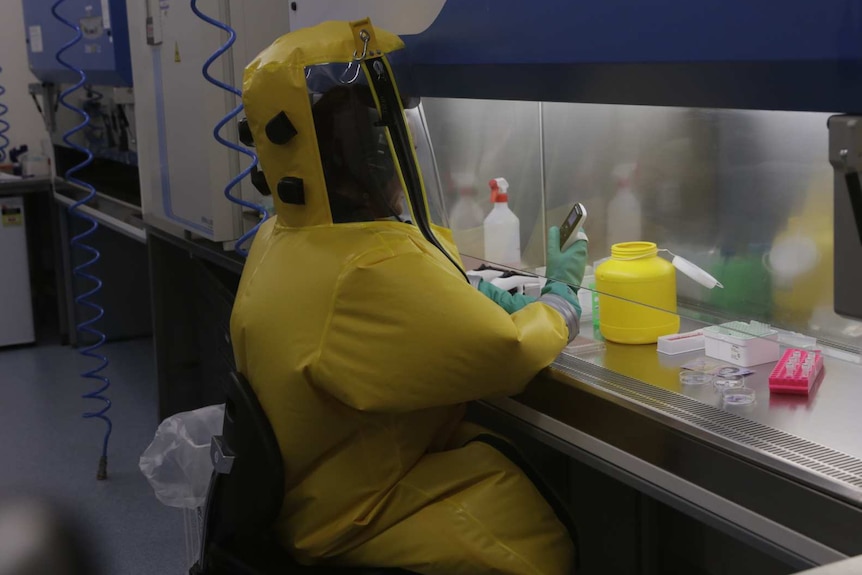 A person wearing a bright yellow fully enclosed biosecurity suit is sitting at a laboratory cabinet