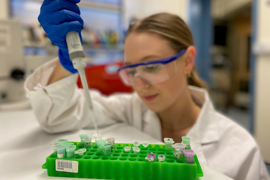 A white, blonde woman looks down at several vials in front of her. She wears glasses and a lab coat.