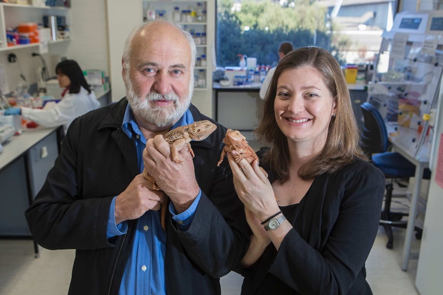 Two researchers in a science lab holding bearded dragons.