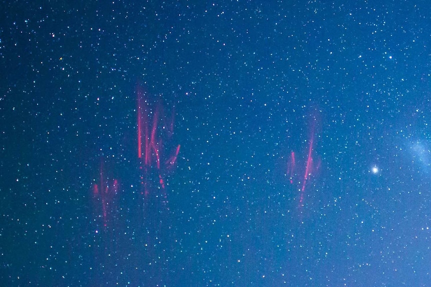 A close up view of a pink lightning sprite in the sky.