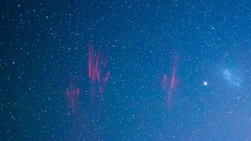 A close up view of a pink lightning sprite in the sky.