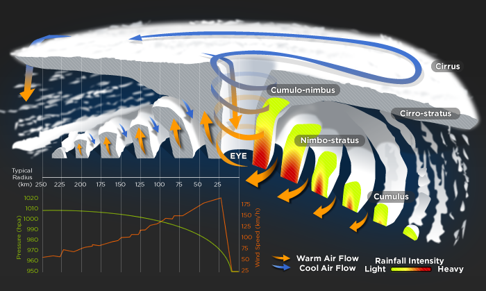 ABC News Online looks inside a cyclone.